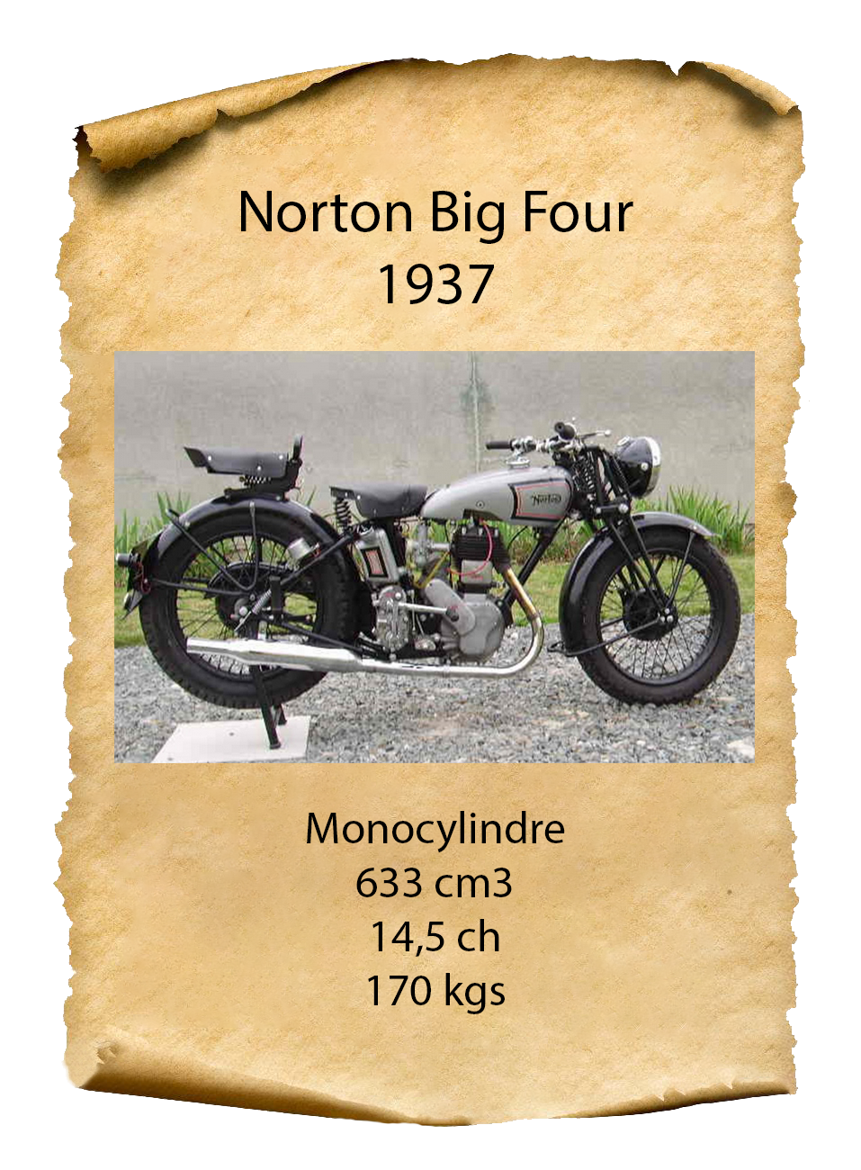 Norton